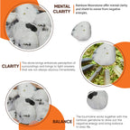 Healing Crystals Rainbow Moonstone Tumbled Stones- Healing Stones and Crystals for Beginners- 8 Piece Real Crystals and Healing Stones - Tumbled Crystals for Witchcraft (8, Rainbow Moonstone)